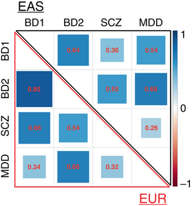 Genetic correlation between different psychiatric disorders