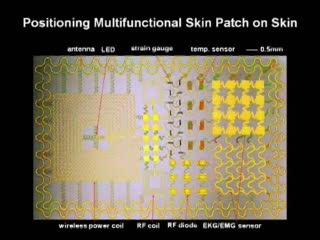 Stretchable Electronic 'Skin' (5 Of 9) | EurekAlert!