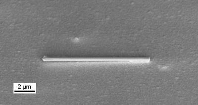 Single Semiconductor Nanowire