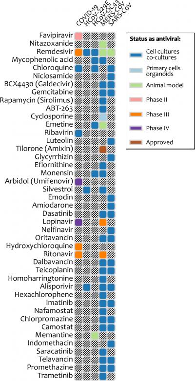 Broad-Spectrum Antiviral Agents Could Combat COVID-19