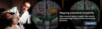 New Insights into the 'borderline Personality' Brain