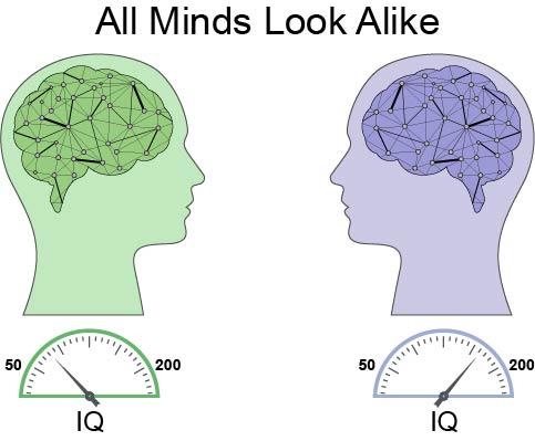 All Minds Look Alike
