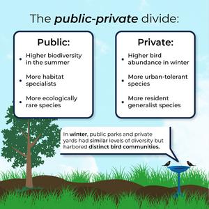 Public-private divide
