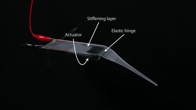 Electrohydraulic arachno-bot a fascinating lightweight