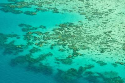 Near-Lizard Island Reefs