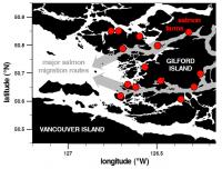 Salmon Farms and Wild Salmon Migration Routes in British Columbia's Broughton Archipelago