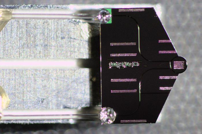 Photonic chip used in this study, mounted on a transmission electron microscope sample holder and packaged with optical fibers.