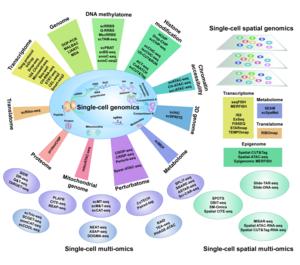 Fig.1 Overview of single-cell technologies in different omics