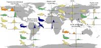 Population trends by taxonomic groups and realm for marine vertebrates