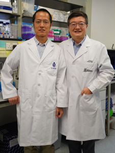 HKUMed & HKUST research team