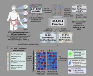 Discovering Antibiotics in the Human Gut Microbiome