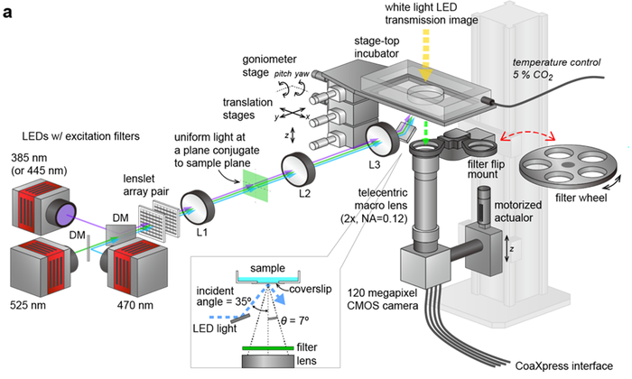 Fig.2