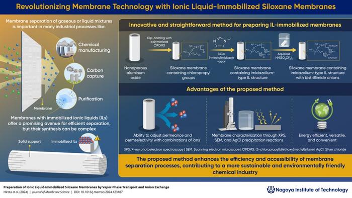 Development of Ionic Liquid-Immobilized Siloxane Membranes