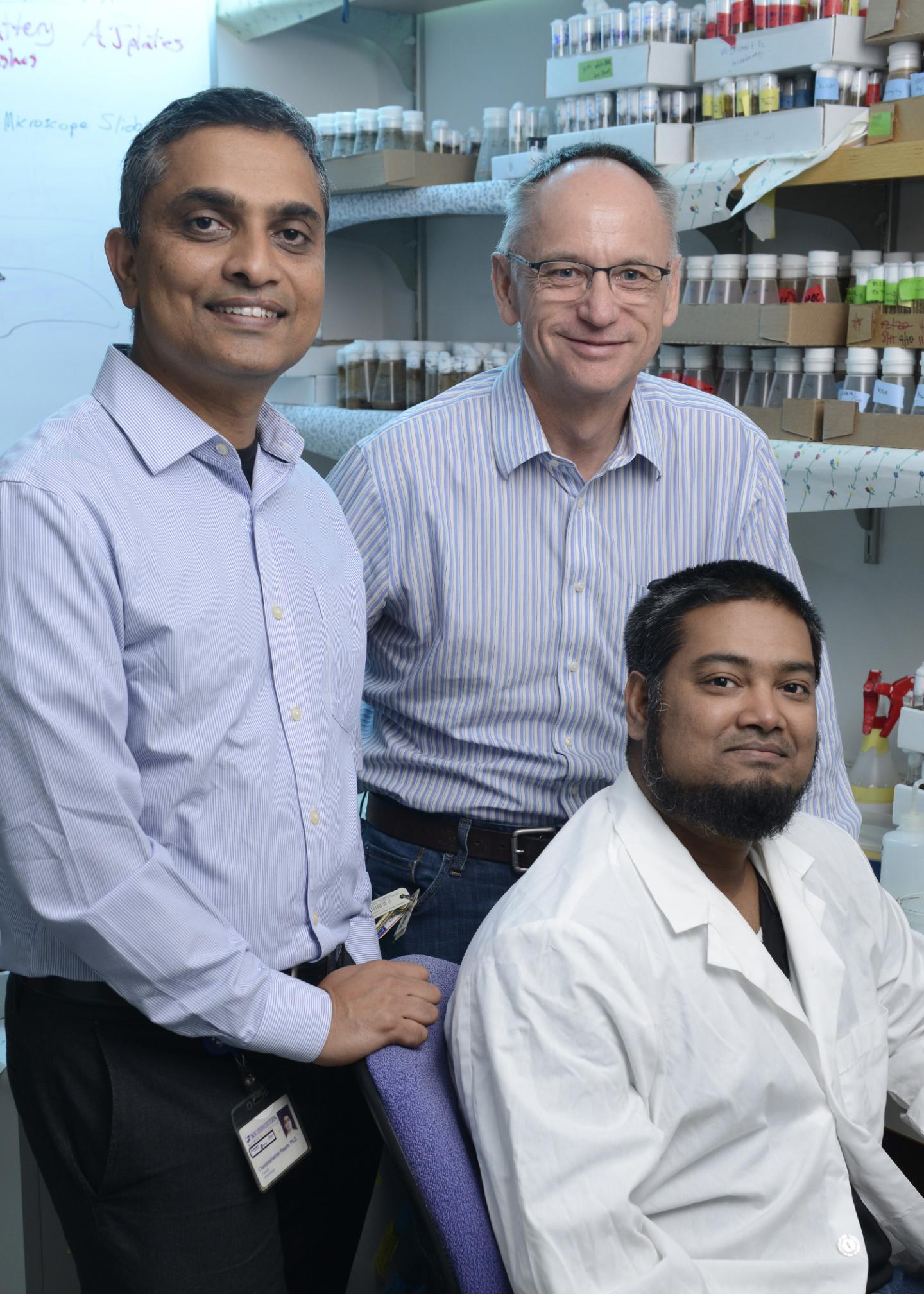 Drs. Pasare, Kr&auml;mer, and Akbar, UT Southwestern Medical Center