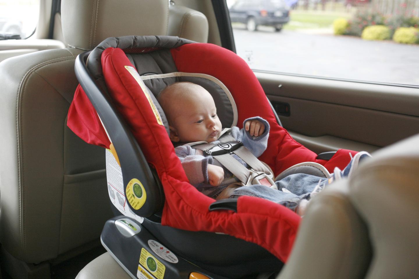 Infant in Car Safety Seat