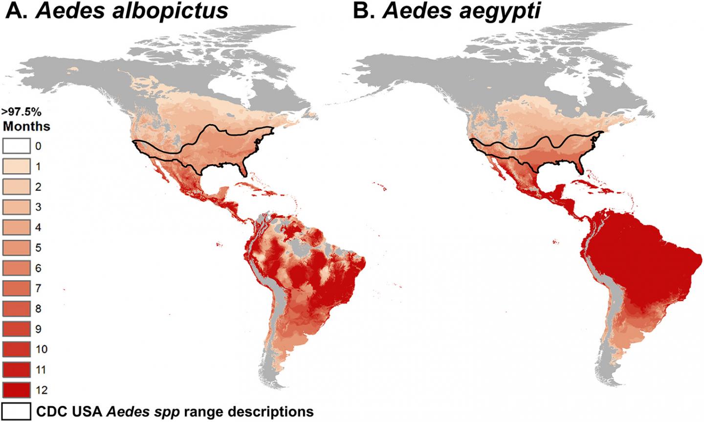 Map of Predicted Temperature Suitability for Virus Transmission by <em>Aedes</em> Species Mosquitoes