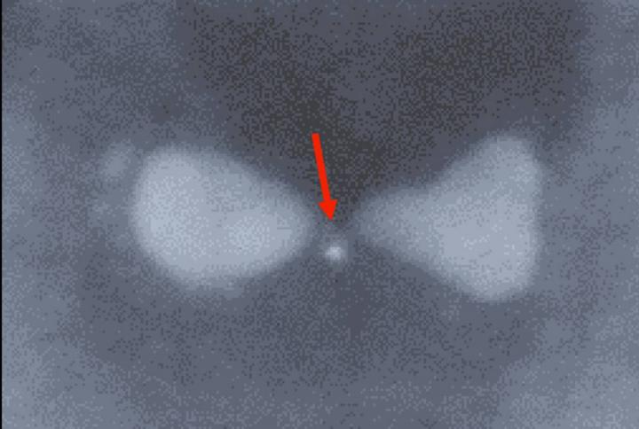 A Bowtie-Shaped Nanoparticle