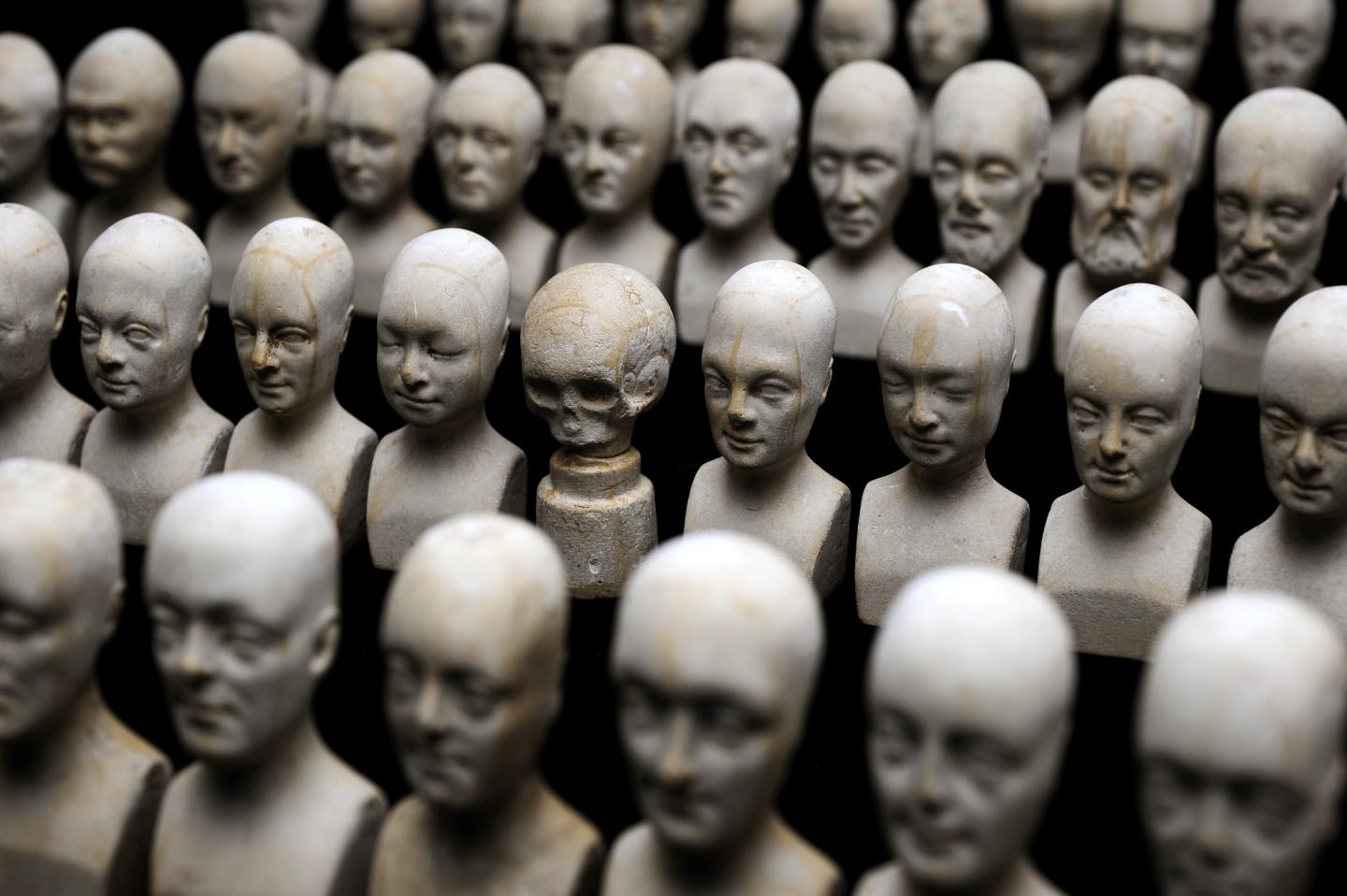 Set of Sixty Miniature Heads used in Phrenology