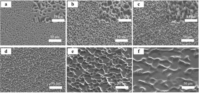 SEM images of the PDMS microstructured electrodes