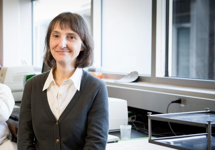 Professor Cathy Vaillancourt, INRS