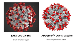 SARS-CoV-2 virus alongside ADDomer COVID vaccine