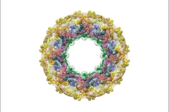 Nuclear Pore Complex