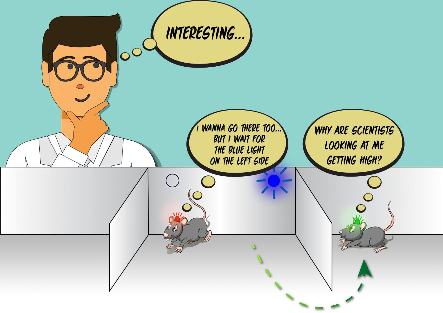 Figure 2 [IMAGE] EurekAlert! Science News Releases
