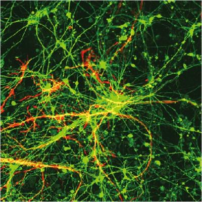 Investigating Devastating Childhood Diseases Just Got Easier