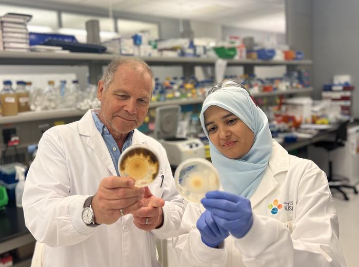 Targeting seed microbes to improve seed resilience