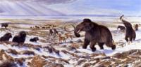 Beringia Winter Scene