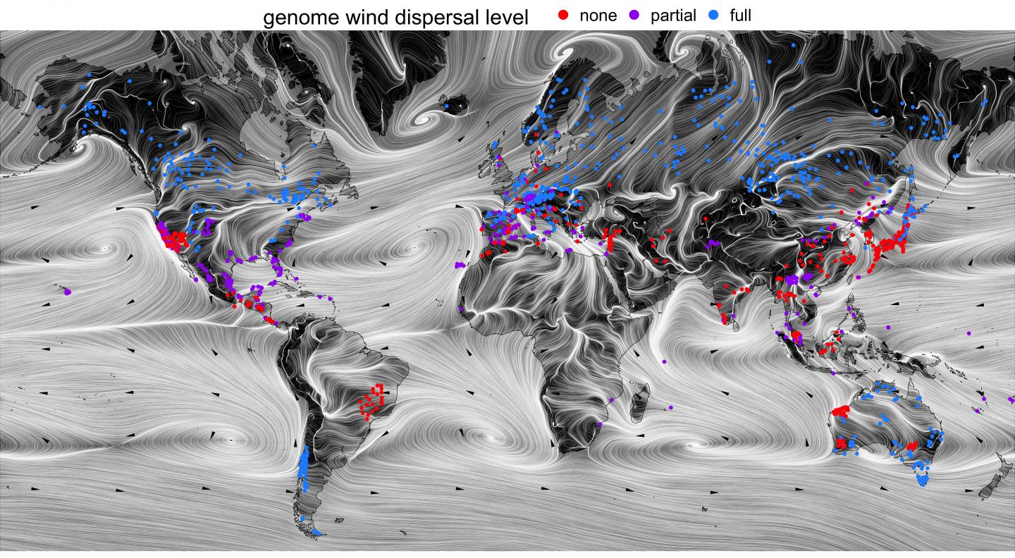 Global prevailing winds