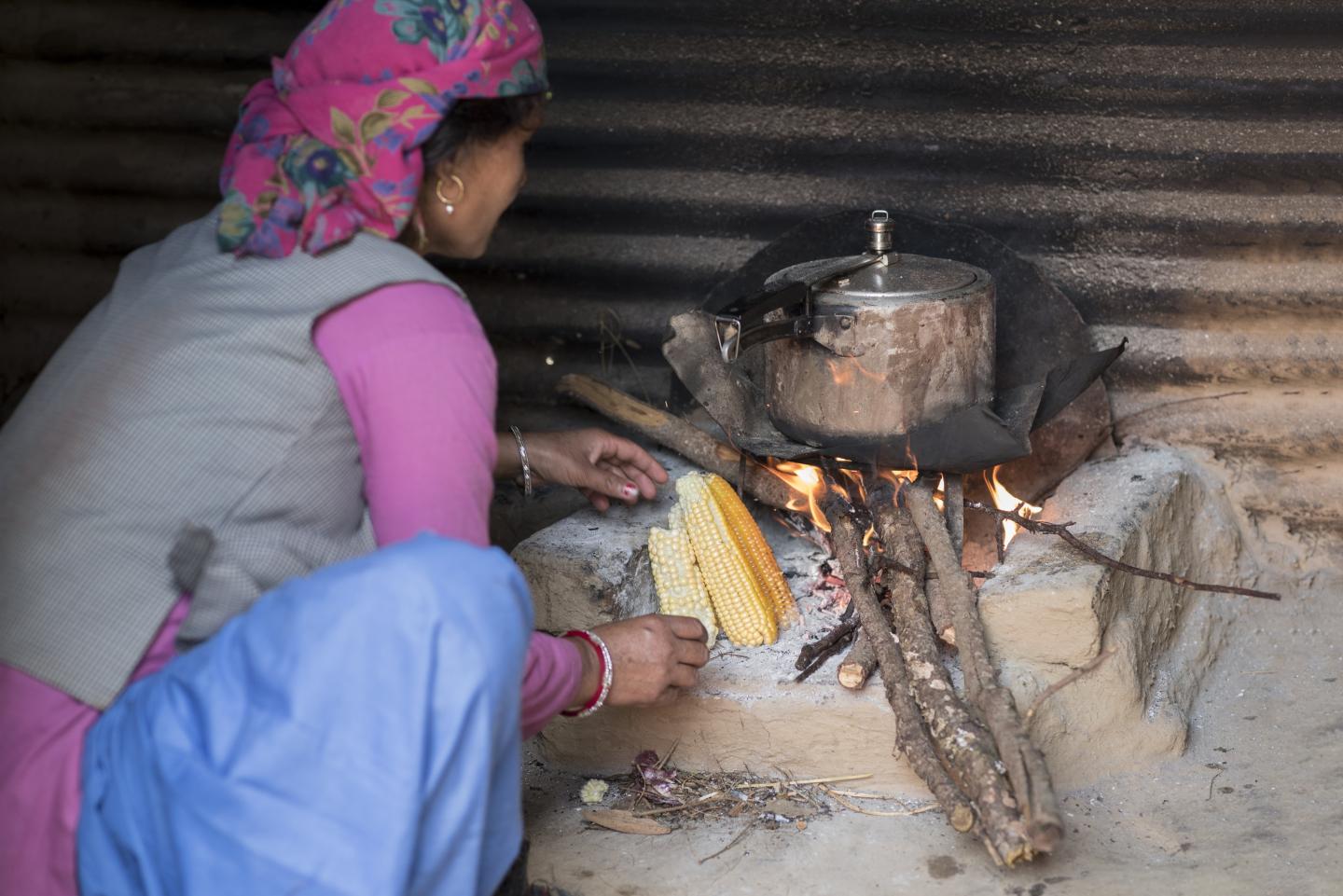 Woman at Cookstove