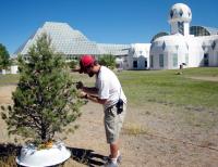 Biosphere 2 Pine Experiment Begins