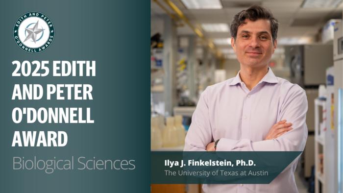 Biological Sciences: Ilya J. Finkelstein, Ph.D., The University of Texas at Austin