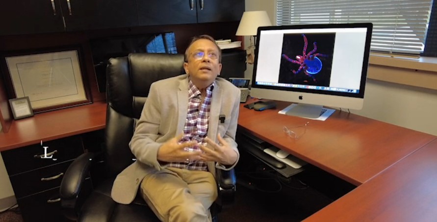 Low ResUtpal Pal parasite_host signaling pathway2 min