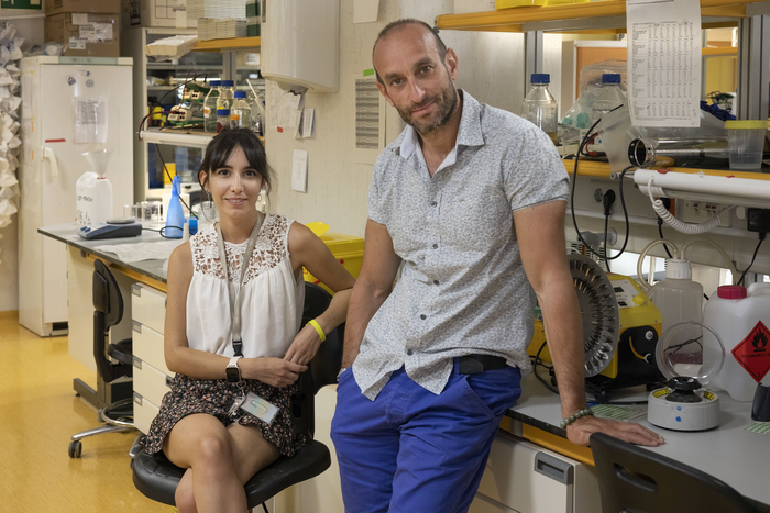 Karla Santos-de-Frutos and Nabil Djouder in the lab. /Antonio Tabernero. CNIO
