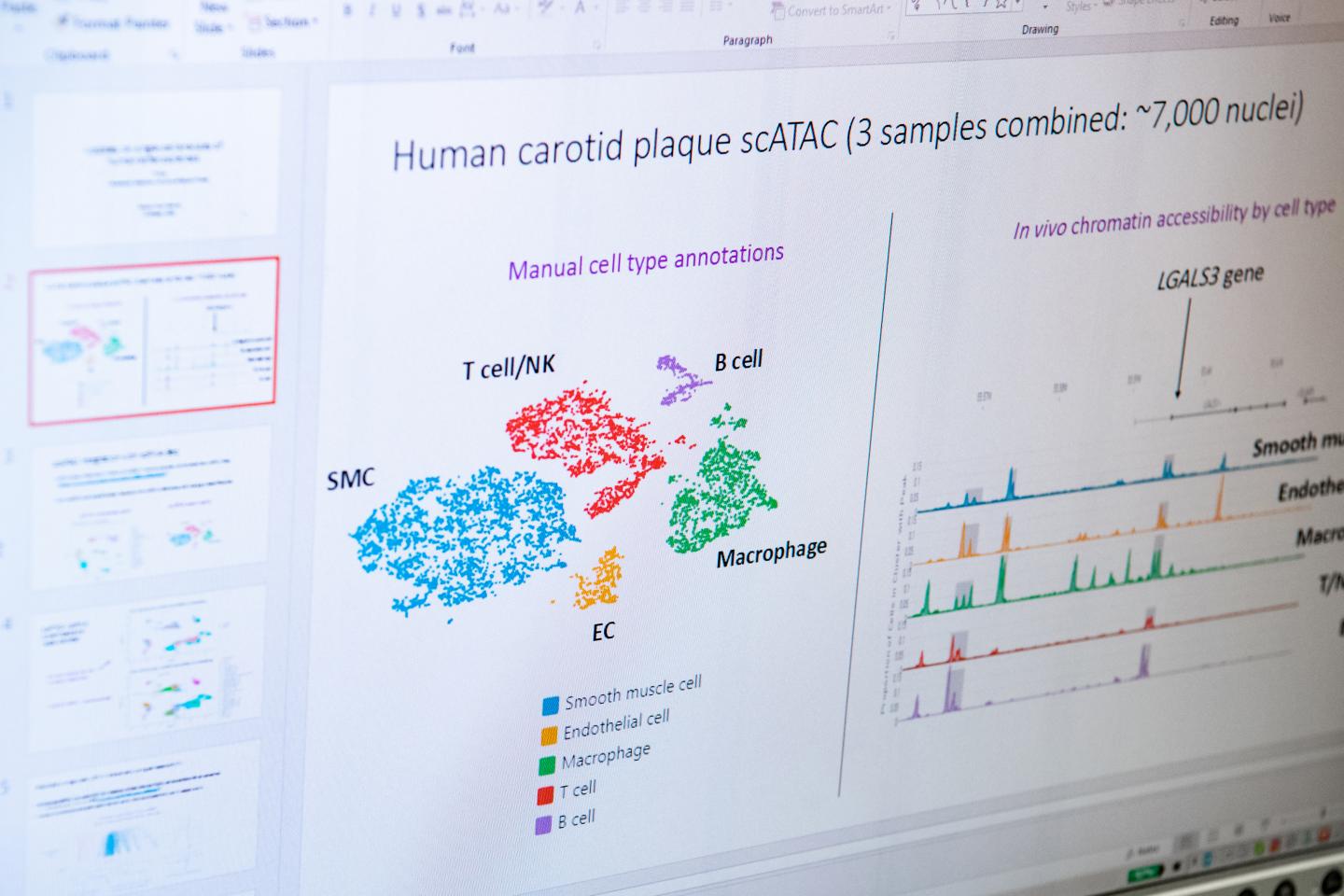 Cell types involved in coronary artery disease