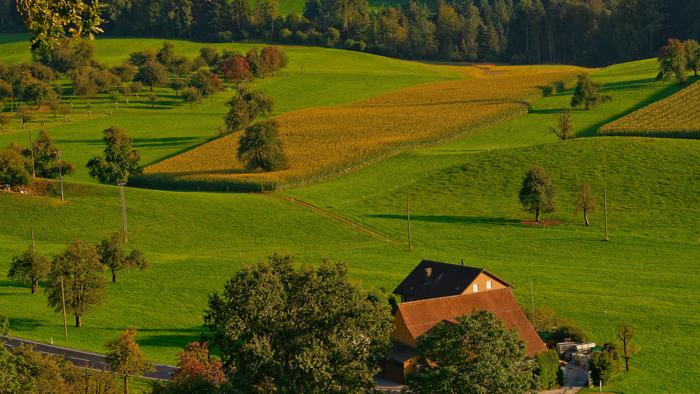 rural area