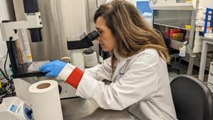 Professor Maya Saleh in her laboratory at the Institut national de la recherche scientifique (INRS) in Québec, Canada