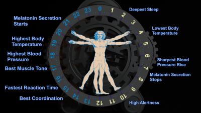 The Circadian Clock (1 of 2)