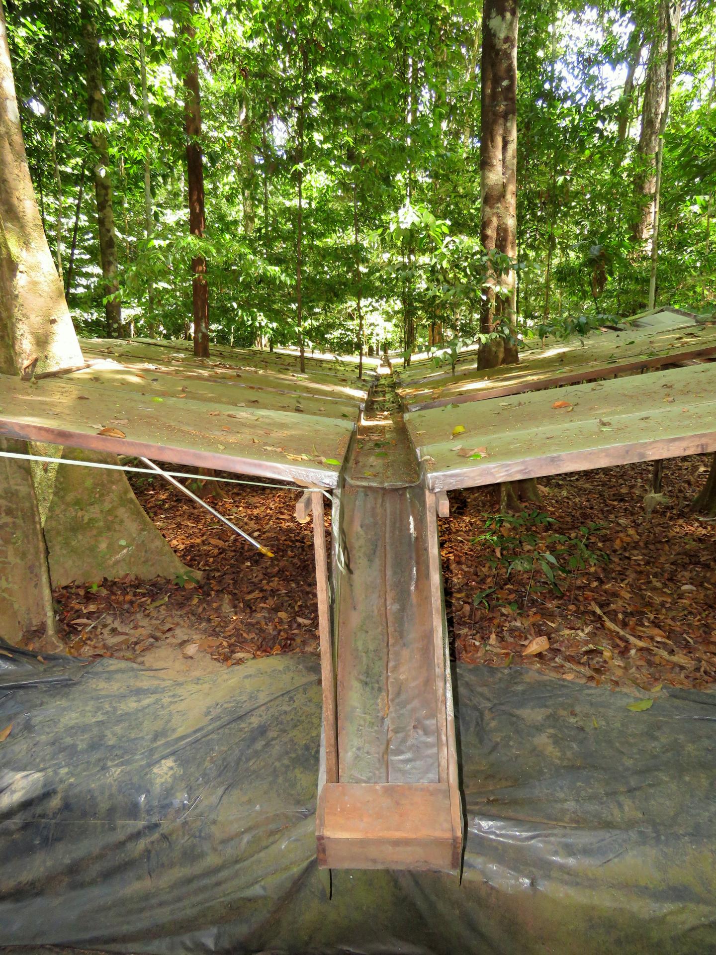 The Drought Experiment Stops 50% of Water Reaching the Ground