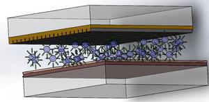 Revolutionary Smart Windows: Balancing Heat and Light with Cutting-Edge Tech