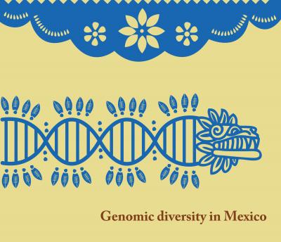 Fine-tooth Comb on Mexico's Genetics for Medical Purposes (2 of 2)