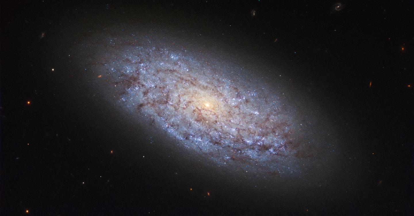 Hubble Displays a Dwarf Spiral Galaxy