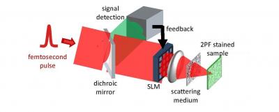 Experimental Set-up of the Microscope