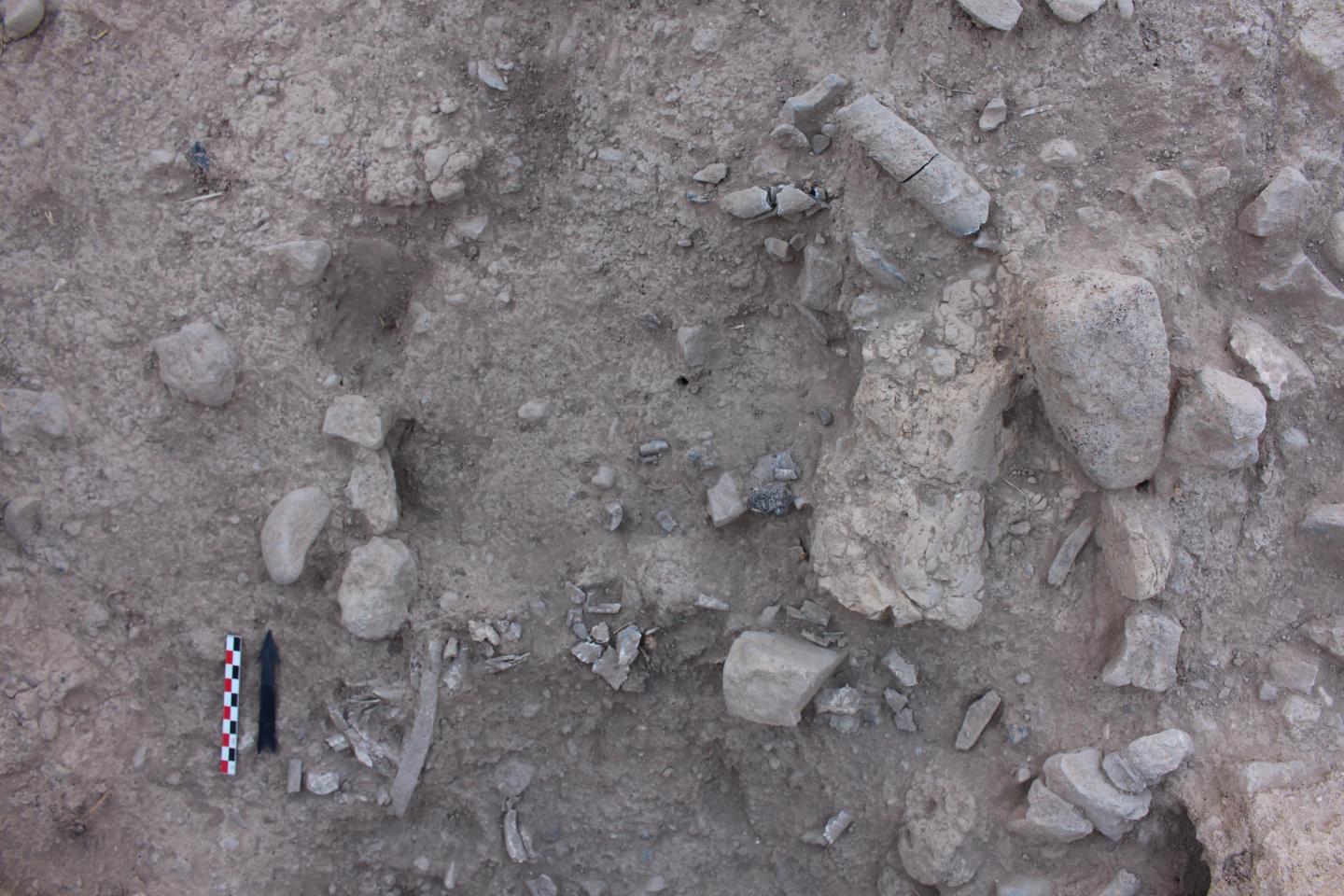 Excavations of the pyre pit.