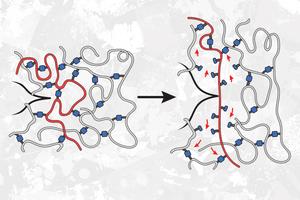 Surprise! Weaker bonds can make polymers stronger