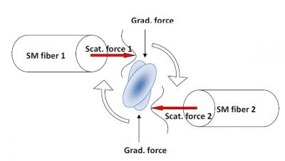 Principle of Fiber-Optic Spanner Comprised of Transversely Offset Fibers