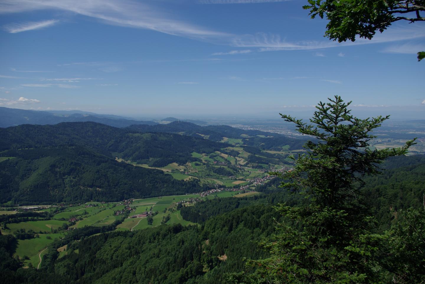 The Black Forest and Climate Change