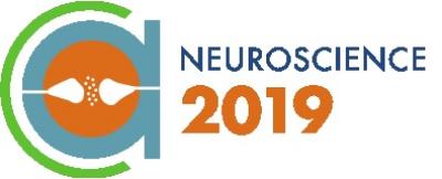 Neuroscience 2019